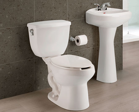 Higienizado de Sanitarios y Baños